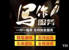 代写工作总结报告汇报计划说明方案演讲稿发言稿申请书